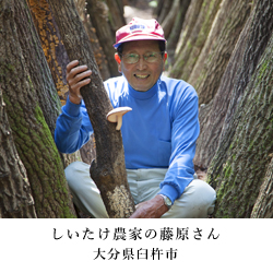 しいたけ農家の藤原さん