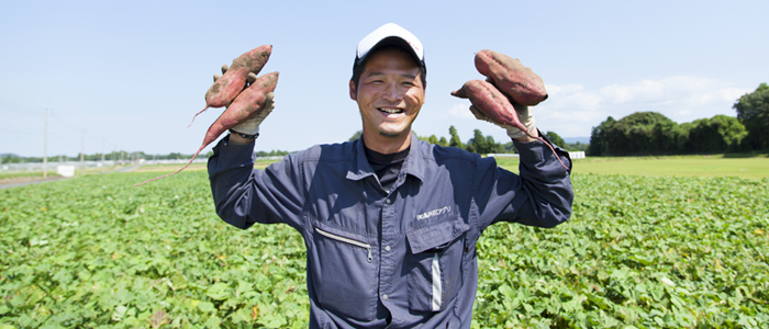 さつまいも農家の平野さん