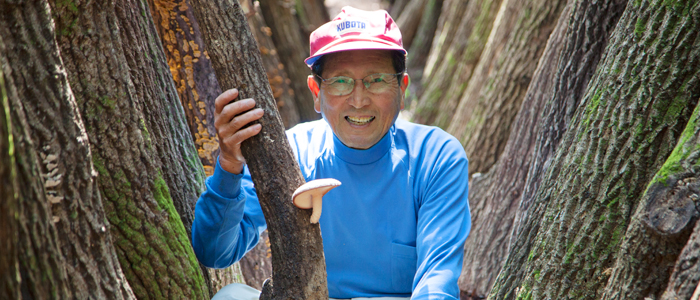 しいたけ農家の藤原さん