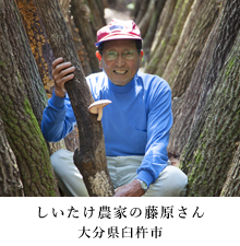 しいたけ農家の藤原さん